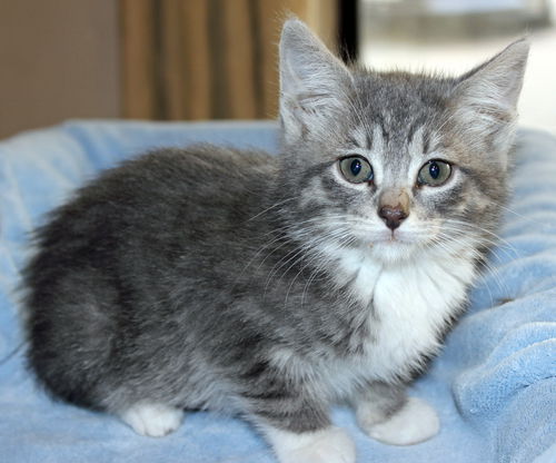 Chloe