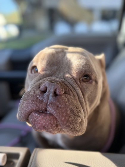 Betnadette