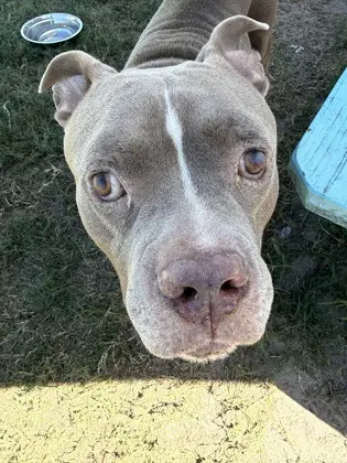 Sawyer image 3