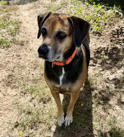 Lola image 2