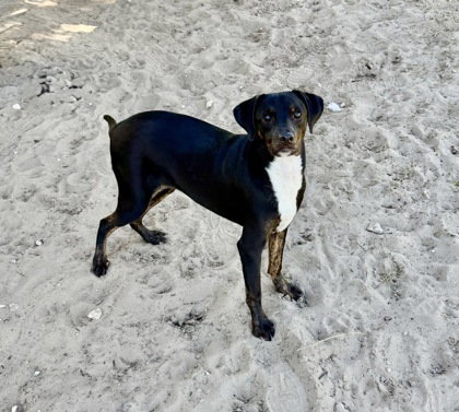 Duke Butler, photo 3