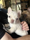 Stuart - Photo 1