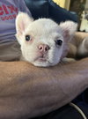Stuart - Photo 2