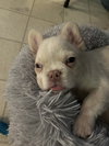 Stuart - Photo 4