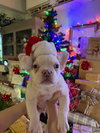 Stuart - Photo 5