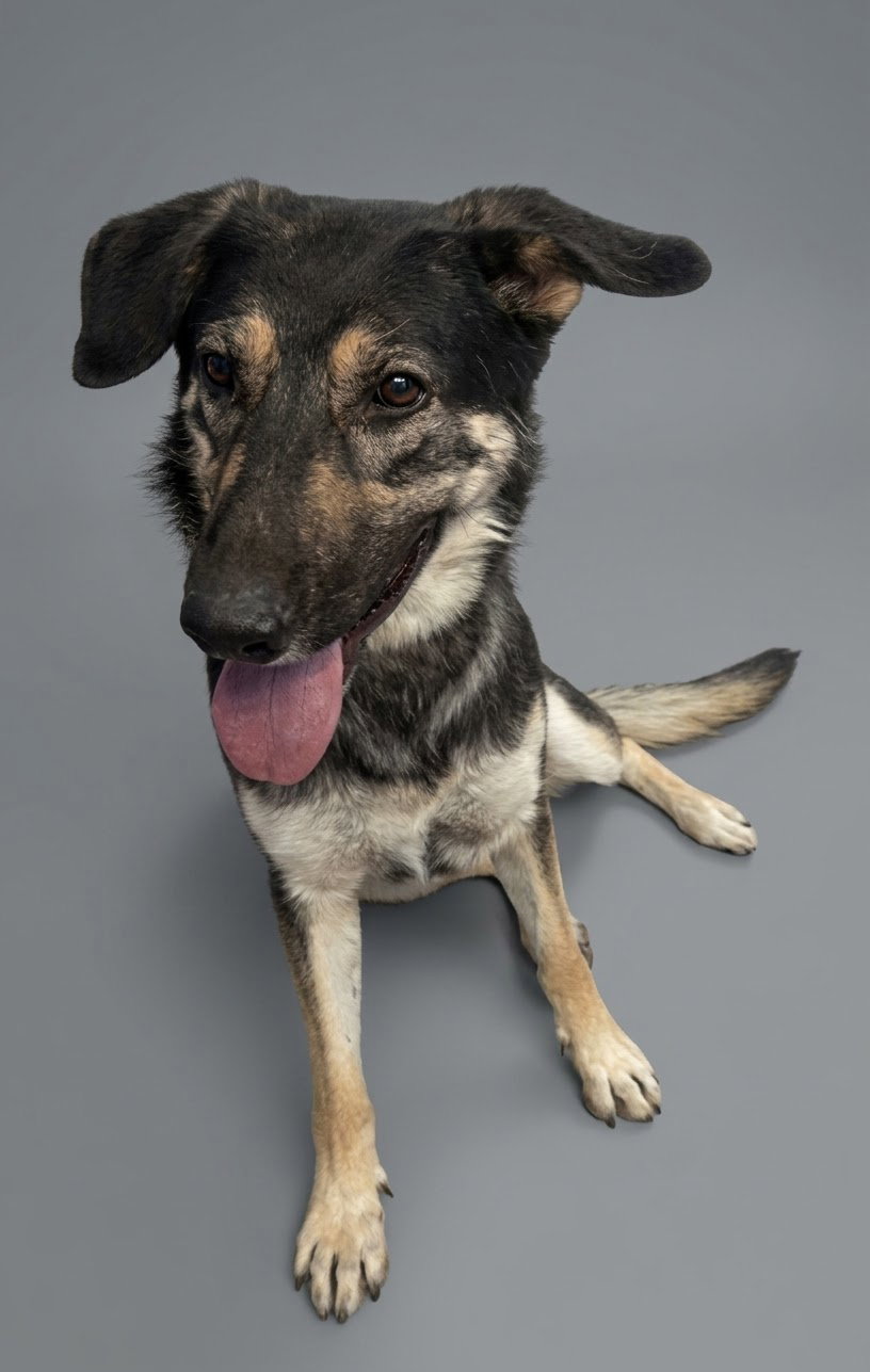 Betty, photo 3