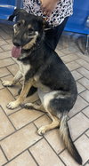 Betty***Courtesy Post*** - Photo 1