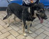 Betty***Courtesy Post*** - Photo 3