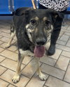 Betty***Courtesy Post*** - Photo 4