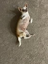 Baby - Photo 17