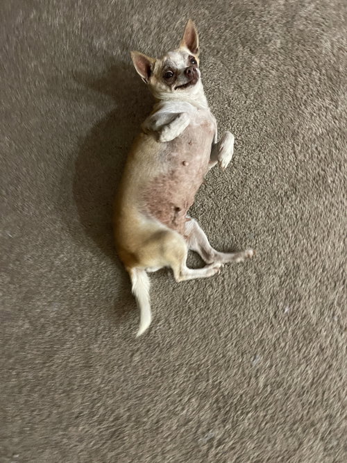 Baby, photo 17