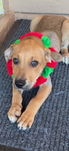 Maverick ***Courtesy Post*** - Photo 7