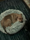 Maverick ***Courtesy Post*** - Photo 5