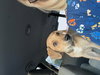 Maverick ***Courtesy Post*** - Photo 6