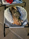 Maverick ***Courtesy Post*** - Photo 8