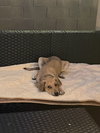 Maverick ***Courtesy Post*** - Photo 9