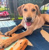 Maverick ***Courtesy Post*** - Photo 2