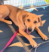 Maverick ***Courtesy Post*** - Photo 3