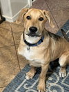 Maverick ***Courtesy Post*** - Photo 1