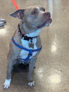Shiloh - Photo 6