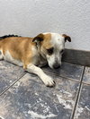 Sabrina - Photo 15