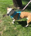 Sabrina - Photo 3