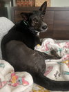 Boo - Photo 6