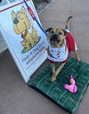 Champ - Photo 6