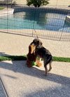 Sweet Oscar - Photo 7