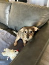 Sweet Oscar - Photo 10