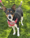 Bruce - Photo 1