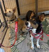 Bruce - Photo 5