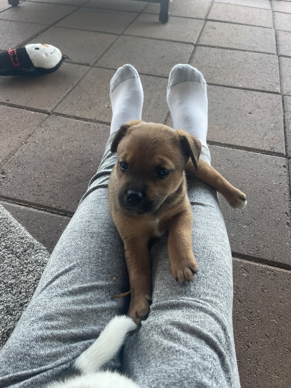 Navi