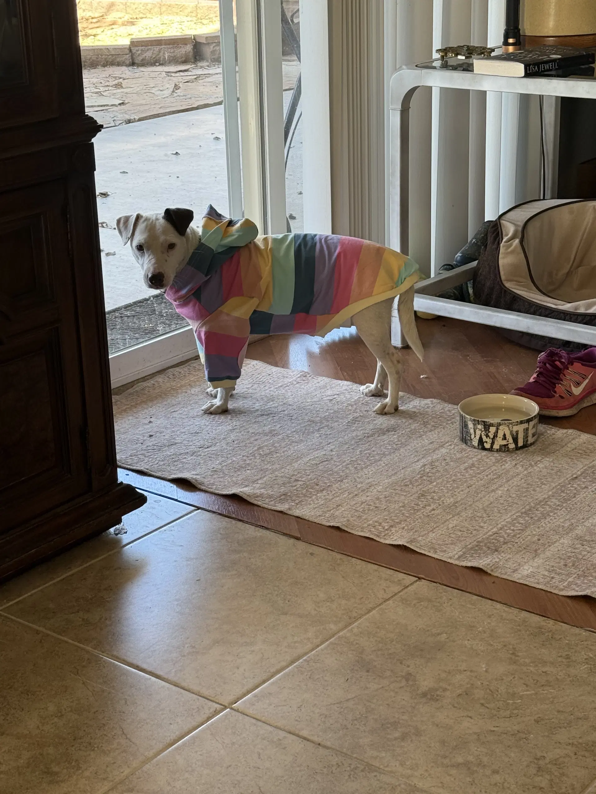 Squeaky image 3