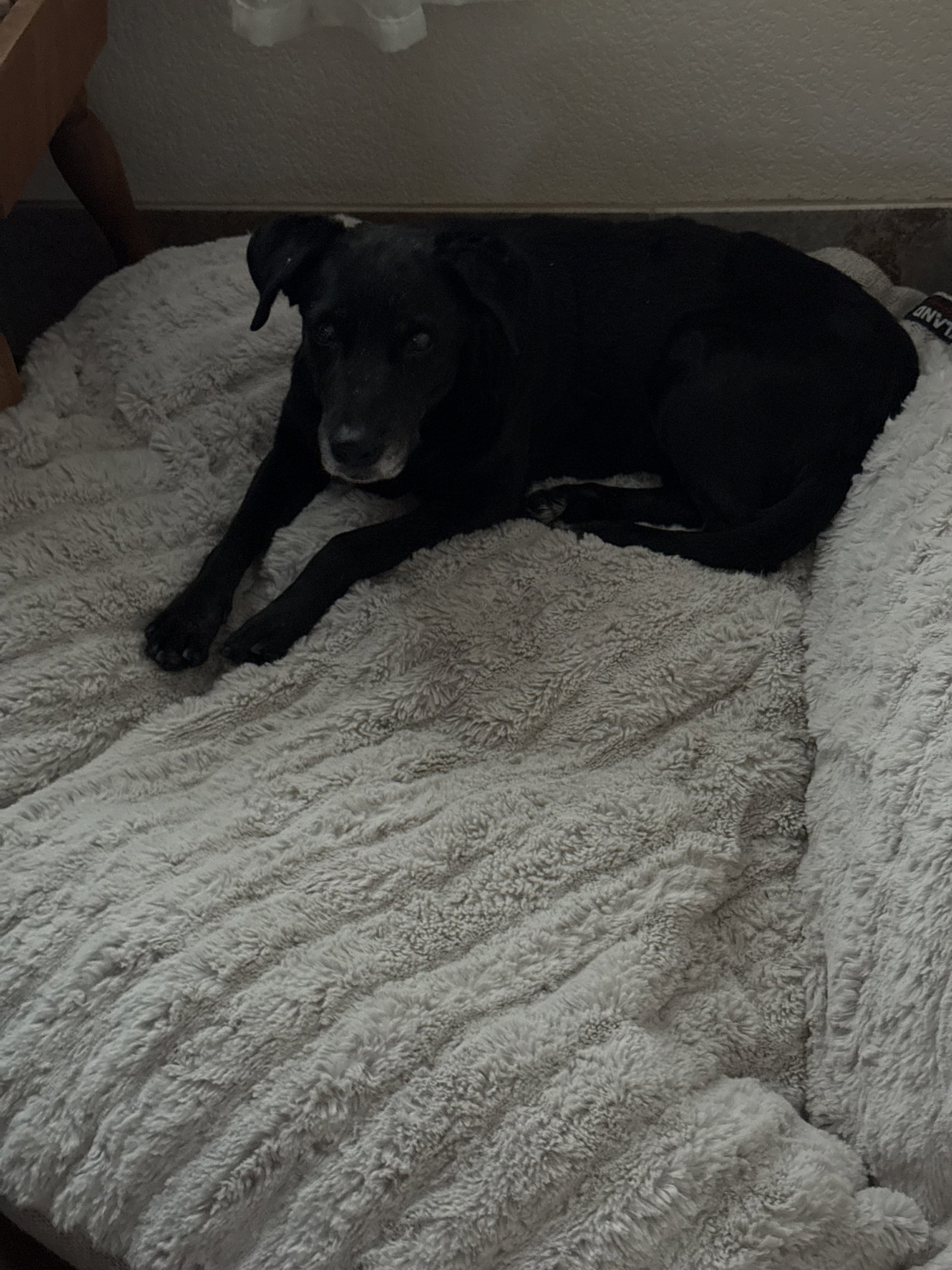 Girlie, photo 17
