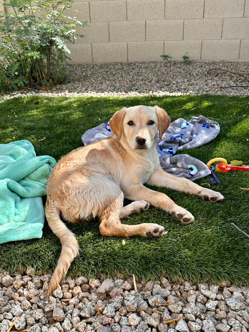 Sunny photo 2
