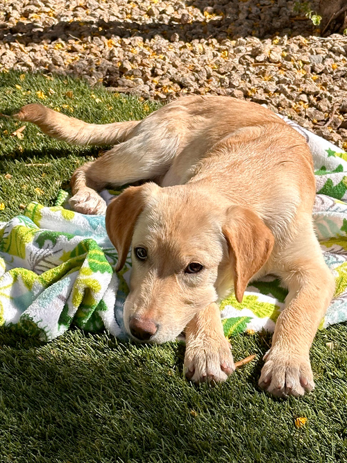 Sunny photo 3