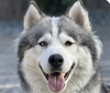 Xena - Photo 1