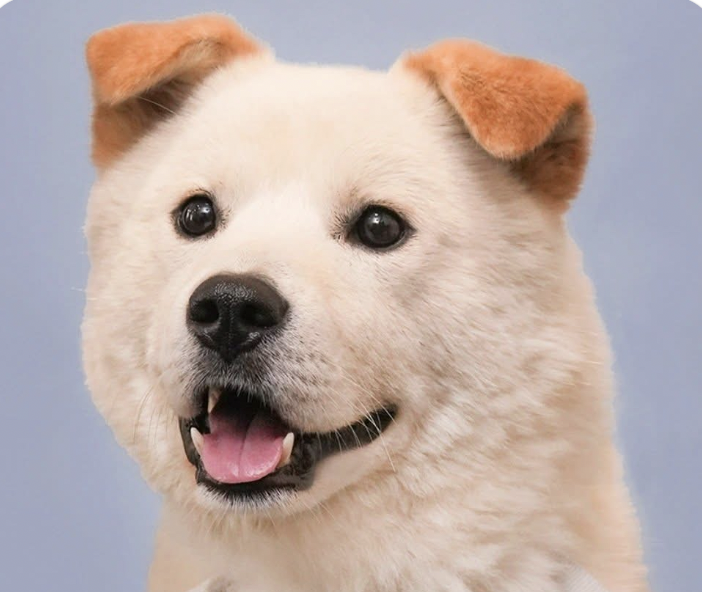 Paul Image