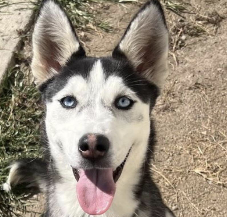 Luna