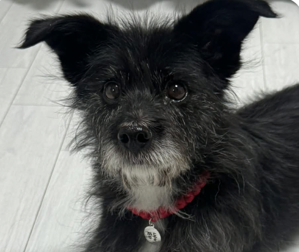 Charlie