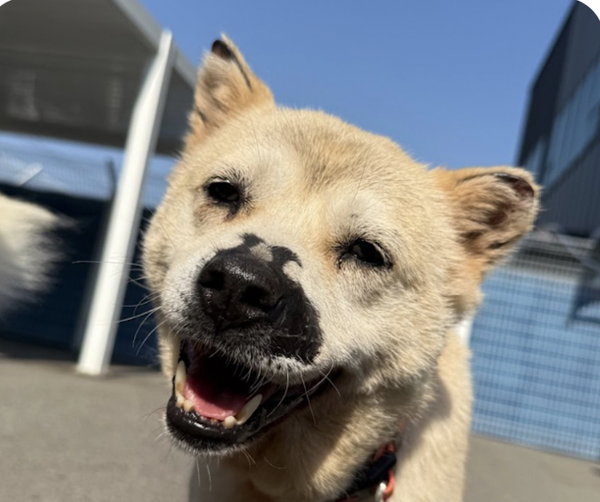 Tilly