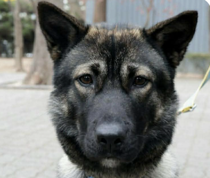 Bebe Image
