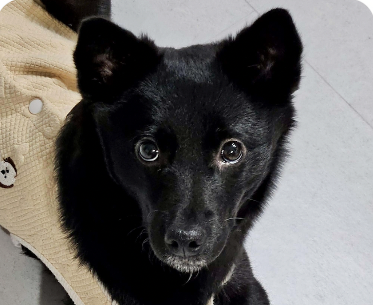 Zoey Image