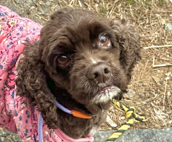 Coco