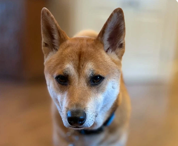 Jax