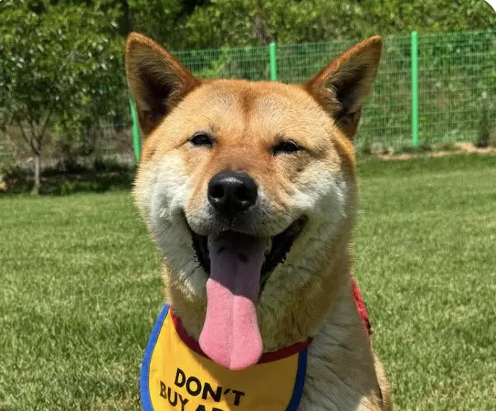 Daon - Jindo (Korean)