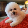 Sofia #191 - Photo 20