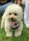 Sofia #191 - Photo 18