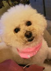 Sofia #191 - Photo 12
